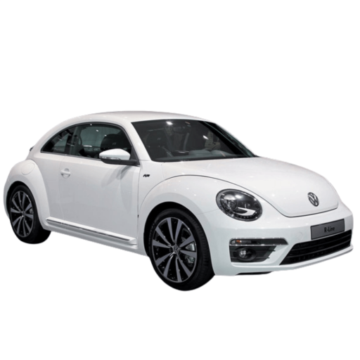 Beetle