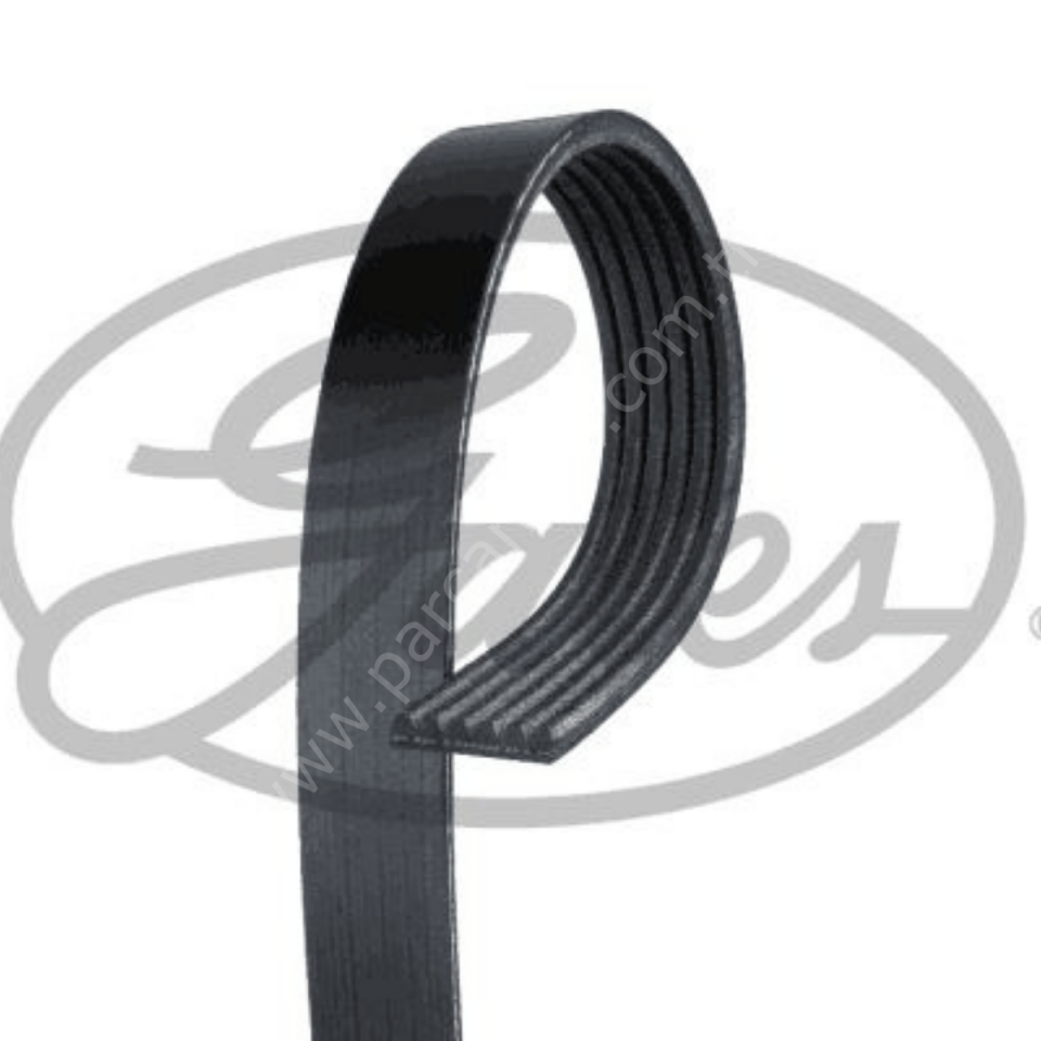 Kanallı V Kayışı - VW Polo, Golf III, Peugeot 307 ,1.4 ,1.6 16V, 306 - GATES 6PK1070 030145933E